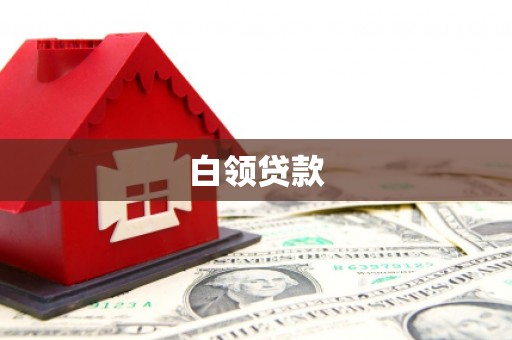 南长白领贷款