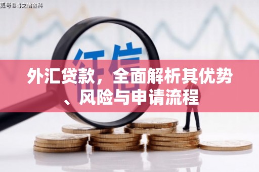 南长外汇贷款，全面解析其优势、风险与申请流程