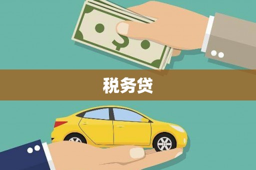 南长税务贷