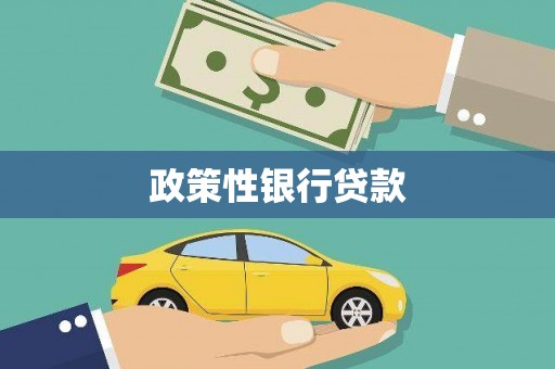 南长政策性银行贷款