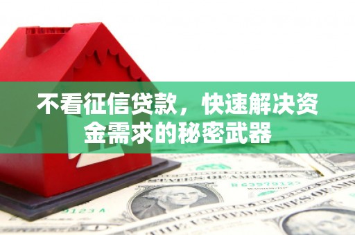 南长不看征信贷款，快速解决资金需求的秘密武器