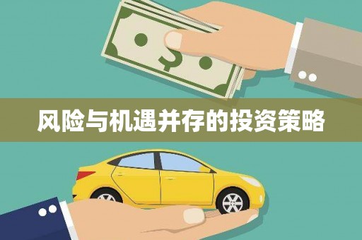 南长风险与机遇并存的投资策略