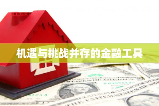南长机遇与挑战并存的金融工具