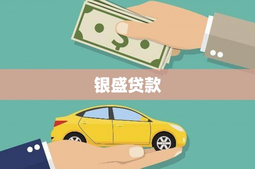 南长银盛贷款