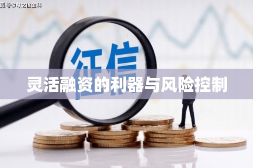 南长灵活融资的利器与风险控制