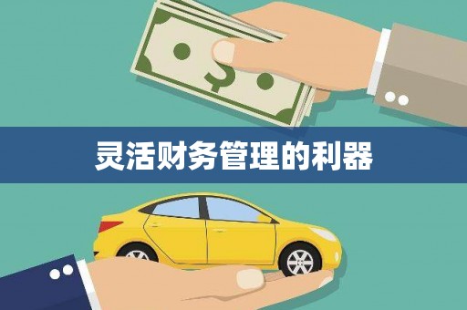 南长灵活财务管理的利器