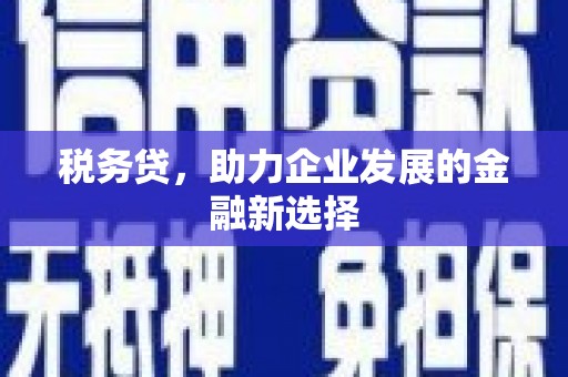 南长税务贷，助力企业发展的金融新选择
