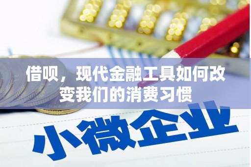 南长借呗，现代金融工具如何改变我们的消费习惯