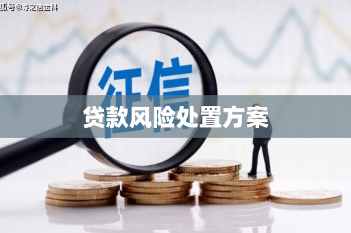 南长贷款风险处置方案