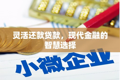 南长灵活还款贷款，现代金融的智慧选择