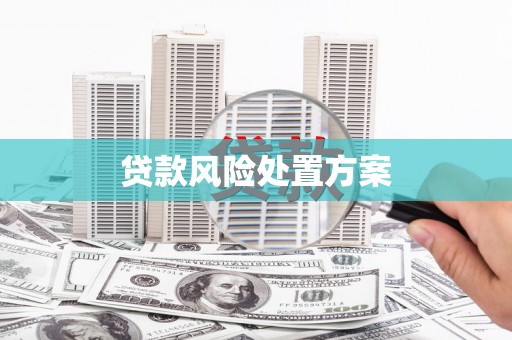 南长贷款风险处置方案