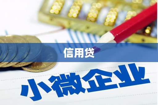 南长信用贷