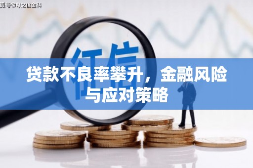 南长贷款不良率攀升，金融风险与应对策略