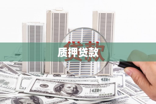 南长质押贷款