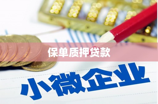 南长保单质押贷款