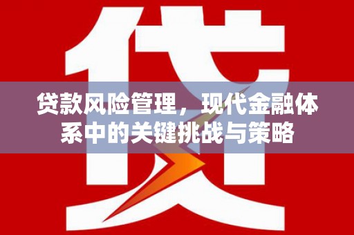 南长贷款风险管理，现代金融体系中的关键挑战与策略