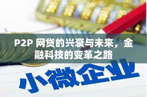 南长P2P 网贷的兴衰与未来，金融科技的变革之路