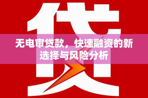 南长无电审贷款，快速融资的新选择与风险分析
