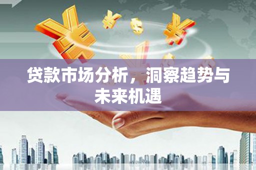 南长贷款市场分析，洞察趋势与未来机遇