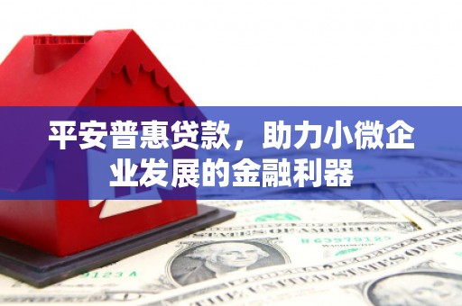 南长平安普惠贷款，助力小微企业发展的金融利器