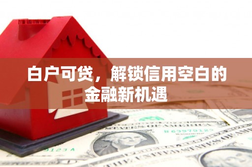 南长白户可贷，解锁信用空白的金融新机遇
