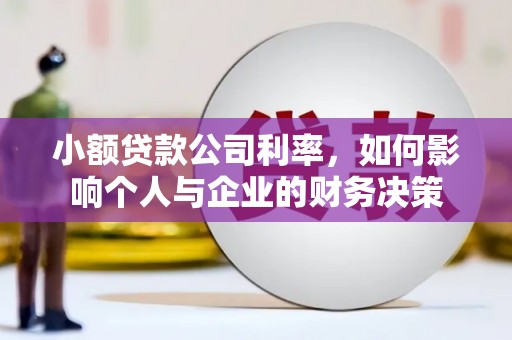 南长小额贷款公司利率，如何影响个人与企业的财务决策
