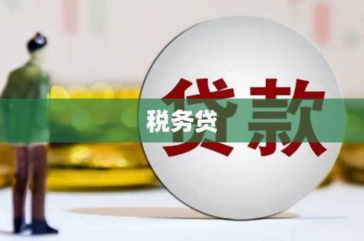 南长税务贷
