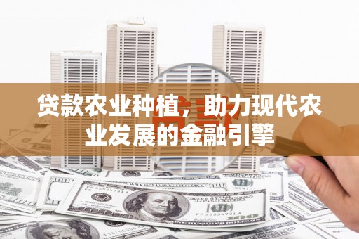 南长贷款农业种植，助力现代农业发展的金融引擎