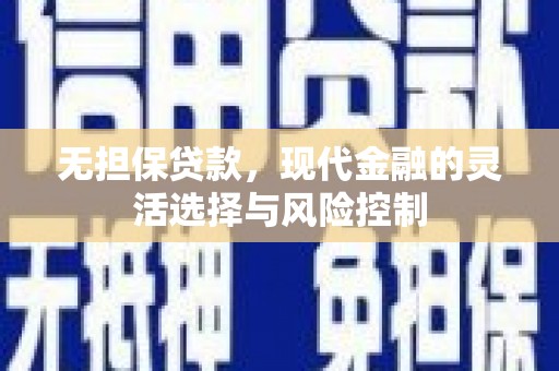 南长无担保贷款，现代金融的灵活选择与风险控制