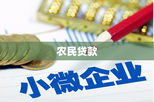 南长农民贷款