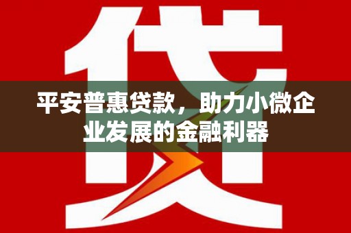 南长平安普惠贷款，助力小微企业发展的金融利器