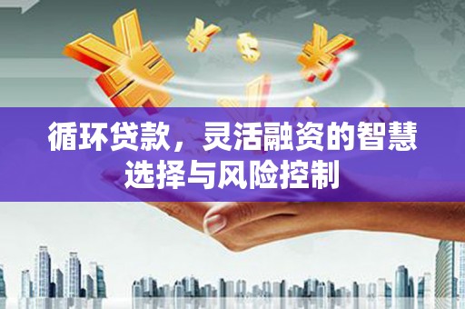 南长循环贷款，灵活融资的智慧选择与风险控制