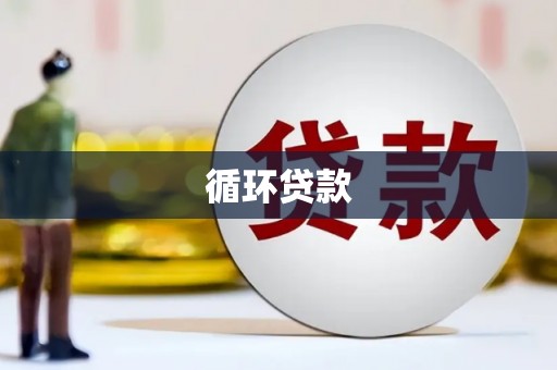 南长循环贷款