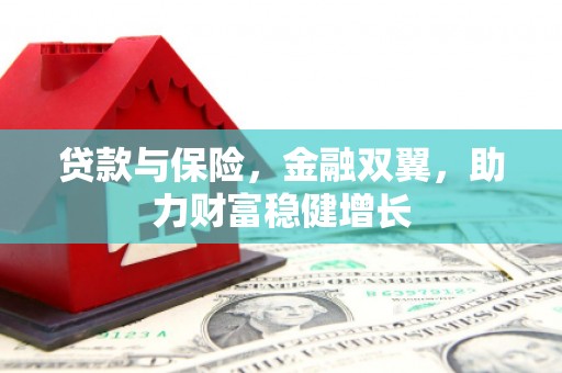 南长贷款与保险，金融双翼，助力财富稳健增长