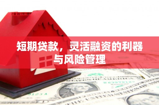 南长短期贷款，灵活融资的利器与风险管理