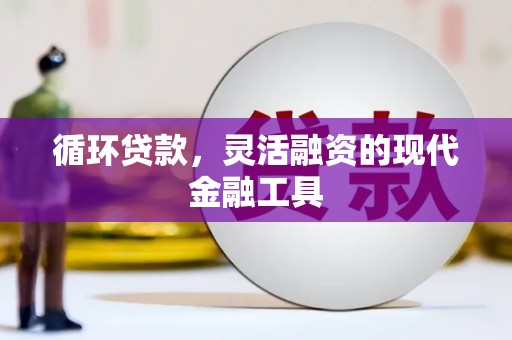 南长循环贷款，灵活融资的现代金融工具
