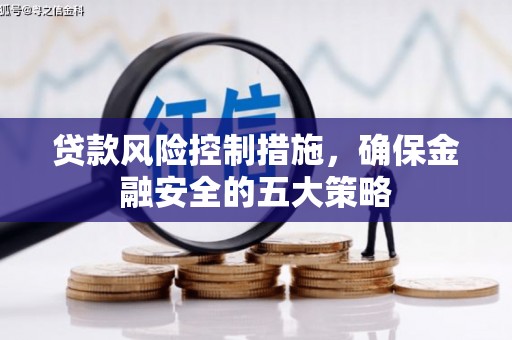 南长贷款风险控制措施，确保金融安全的五大策略