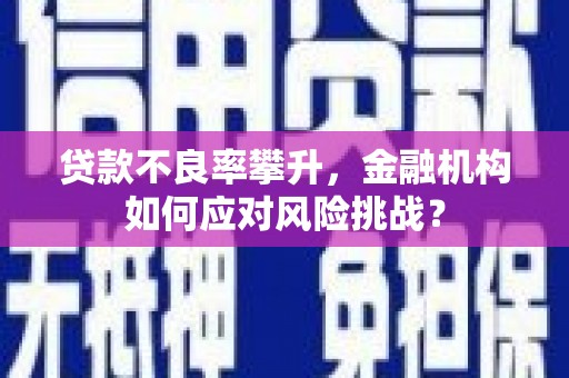 南长贷款不良率攀升，金融机构如何应对风险挑战？