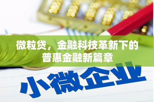 南长微粒贷，金融科技革新下的普惠金融新篇章