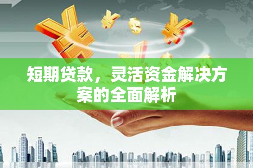 南长短期贷款，灵活资金解决方案的全面解析