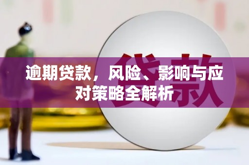 南长逾期贷款，风险、影响与应对策略全解析
