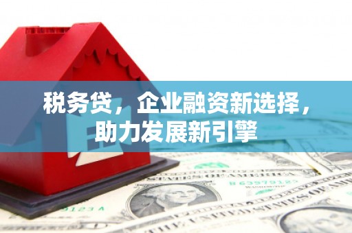 南长税务贷，企业融资新选择，助力发展新引擎