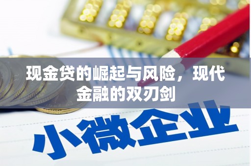 南长现金贷的崛起与风险，现代金融的双刃剑