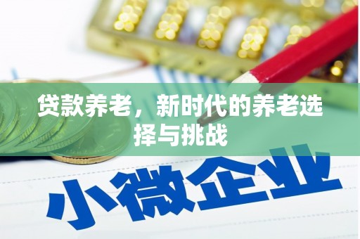 南长贷款养老，新时代的养老选择与挑战