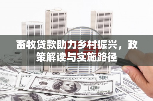 南长畜牧贷款助力乡村振兴，政策解读与实施路径