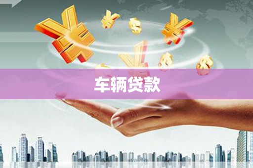 南长车辆贷款