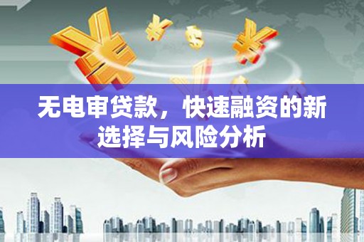 南长无电审贷款，快速融资的新选择与风险分析