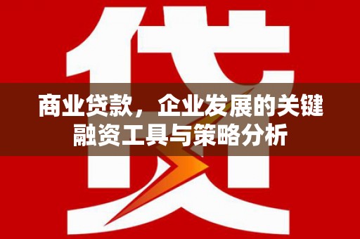 南长商业贷款，企业发展的关键融资工具与策略分析
