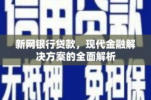 南长新网银行贷款，现代金融解决方案的全面解析