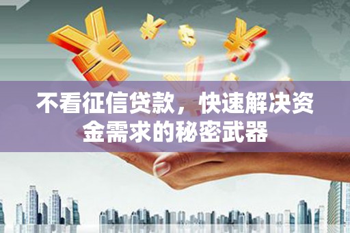 南长不看征信贷款，快速解决资金需求的秘密武器